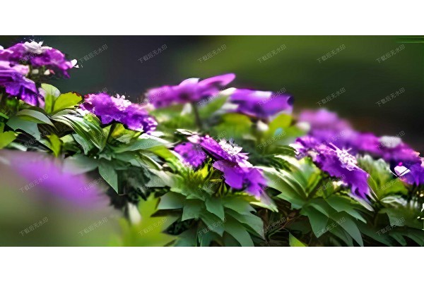 茶香武汉，这些地方让你心旷神怡